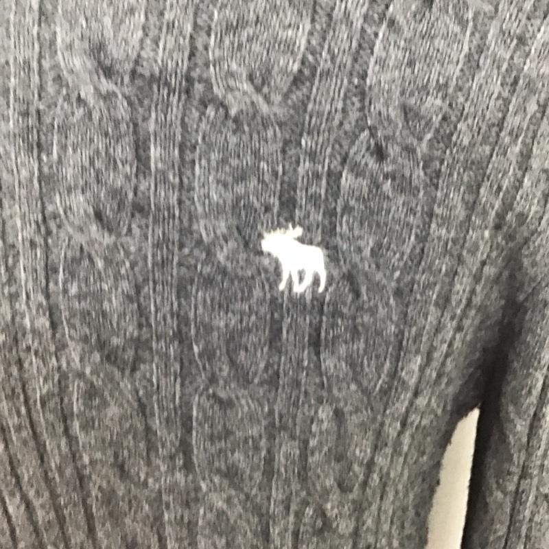 アバクロンビーアンドフィッチ ABERCROMBIE&FITCH ニット、セーター 長袖 長袖ニットカットソー ニット セーター クルーネックニット M ロゴ、文字 灰 / グレー / メンズ USED 古着 中古 10123893