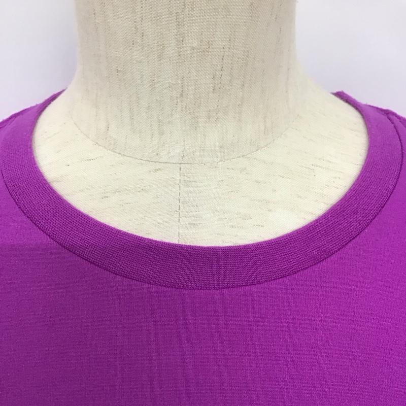 ザノースフェイス THE NORTH FACE カットソー 半袖 ntw31313 COLORFULLOGO 半袖カットソー プリントTシャツ XL ロゴ、文字 紫 / パープル / レディース USED 古着 中古 10125189