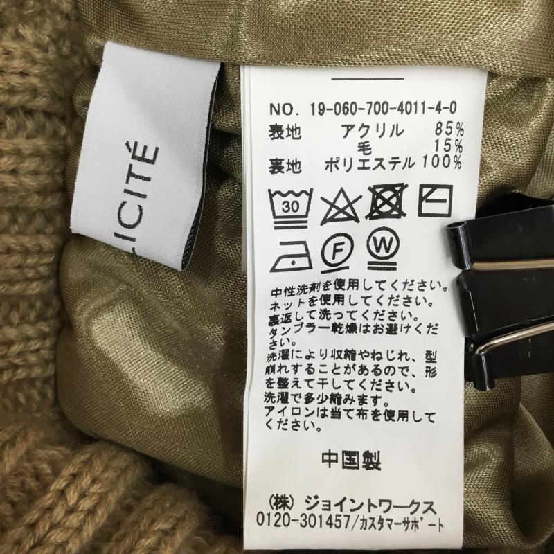 シンプリシテェ Simplicite スカート ロングスカート FREE 無地 茶 / ブラウン / レディース USED 古着 中古 10143898