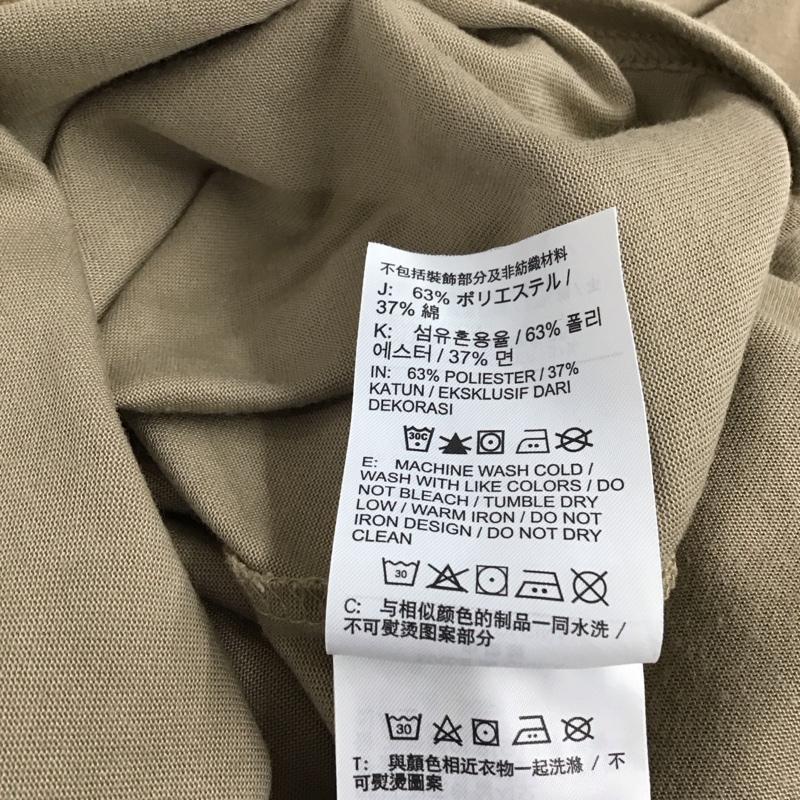 ナイキ エィシージー NIKE ACG Tシャツ 半袖 半袖カットソー 刺繍Tシャツ クルーネックカットソー XL ロゴ、文字 ベージュ / ベージュ / beige メンズ USED 古着 中古 10156205