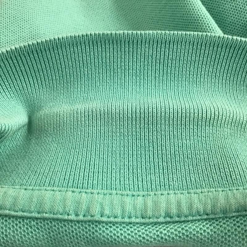 チャップス CHAPS ポロシャツ 半袖 半袖ポロシャツ カラーシャツ 半袖カットソー XL ロゴ、文字 薄緑 / ライトグリーン / メンズ USED 古着 中古 10158301