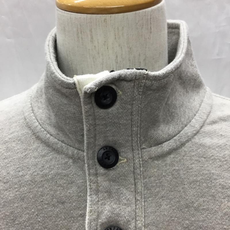 アメリカンイーグル AMERICANEAGLE トレーナー 長袖 ハーフジップ L 無地 灰 / グレー / メンズ USED 古着 中古 10109270