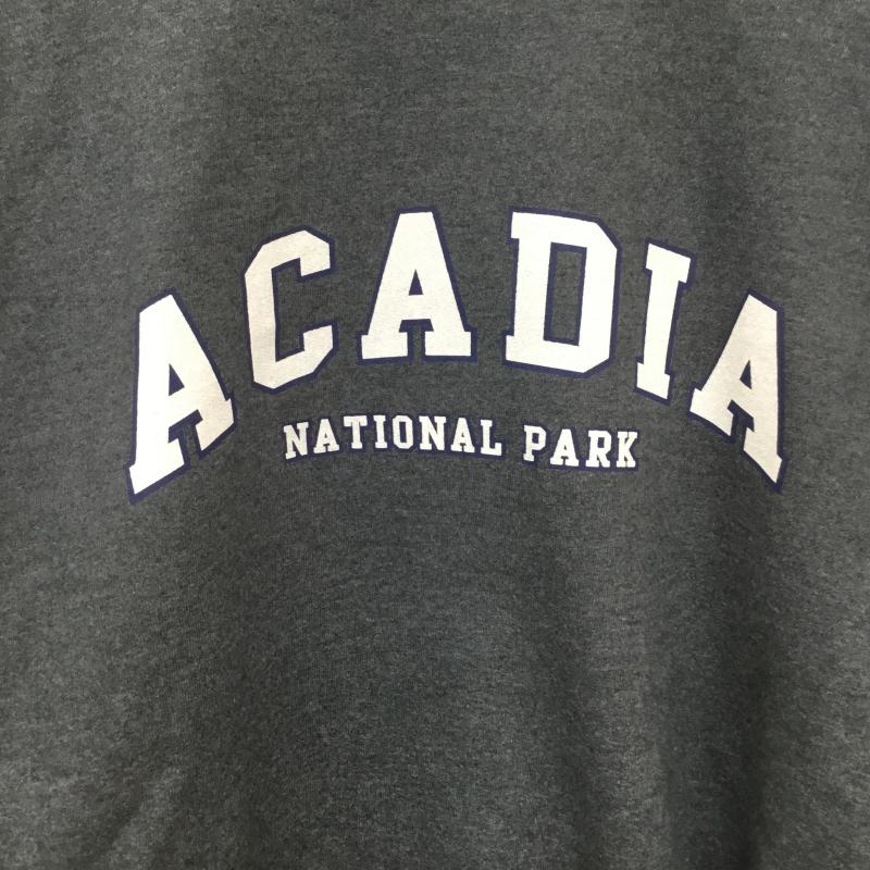 ギルダン GILDAN トレーナー 長袖 ACADIA アカディア XL ロゴ、文字 灰 / グレー / メンズ USED 古着 中古 10136211