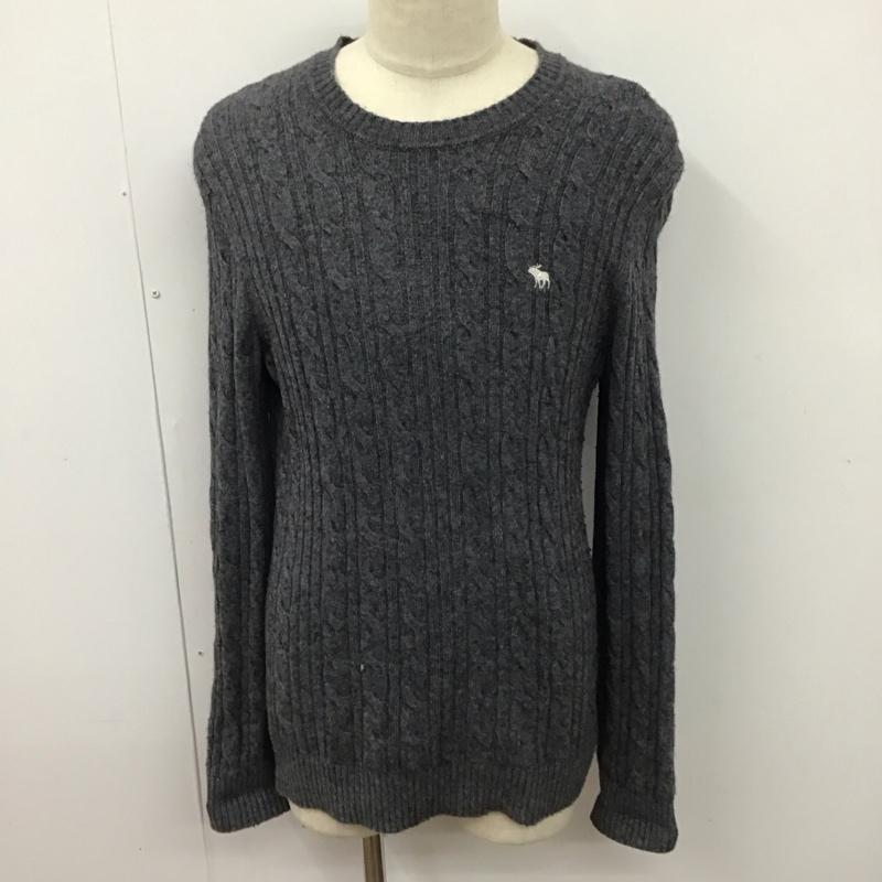 アバクロンビーアンドフィッチ ABERCROMBIE&FITCH ニット、セーター 長袖 長袖ニットカットソー ニット セーター クルーネックニット M ロゴ、文字 灰 / グレー / メンズ USED 古着 中古 10123893