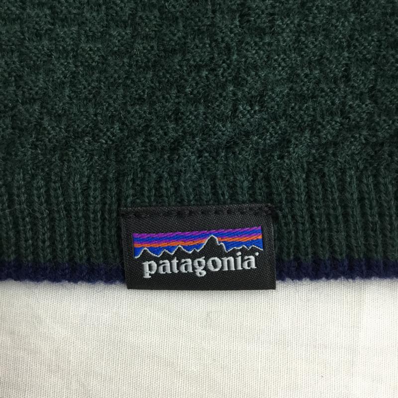 パタゴニア patagonia カットソー 長袖 36515 M 無地 緑 / グリーン / メンズ USED 古着 中古 10138291