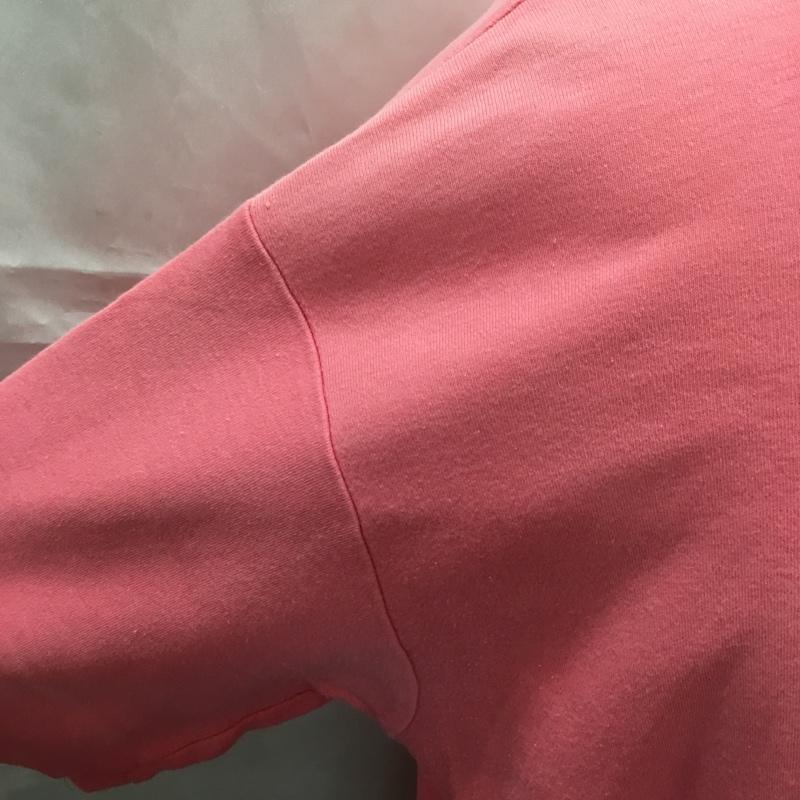 ポロバイラルフローレン Polo by RALPH LAUREN ポロシャツ 半袖 L 無地 桃 / ピンク / メンズ USED 古着 中古 10108737