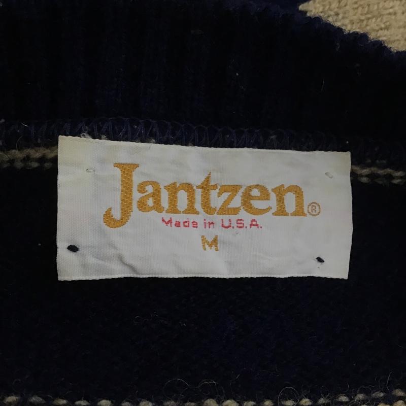 ジャンセン Jantzen ニット、セーター 長袖 M ボーダー柄 マルチカラー / マルチカラー / メンズ USED 古着 中古 10105973
