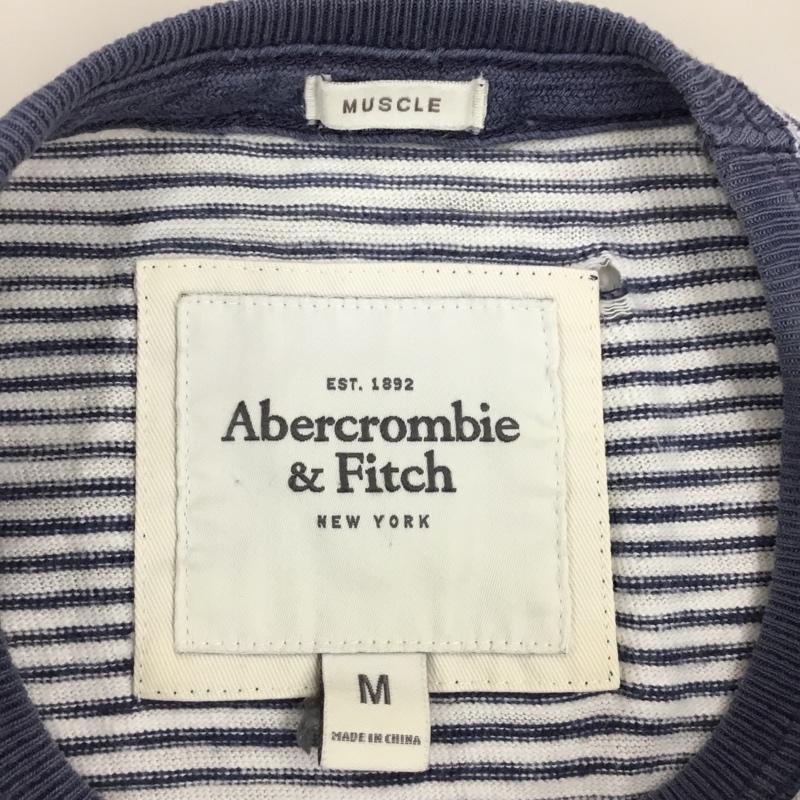 アバクロンビーアンドフィッチ ABERCROMBIE&FITCH Tシャツ 半袖 半袖カットソー プリントTシャツ クルーネックカットソー M ボーダー柄 白 / ホワイト / X 青 / ブルー /  メンズ USED 古着 中古 10108990