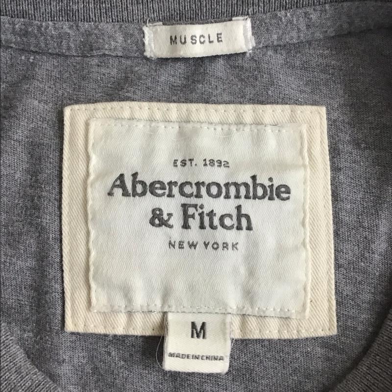 アバクロンビーアンドフィッチ ABERCROMBIE&FITCH Tシャツ 半袖 半袖カットソー 刺繍Tシャツ クルーネックカットソー M ロゴ、文字 灰 / グレー / メンズ USED 古着 中古 10107253