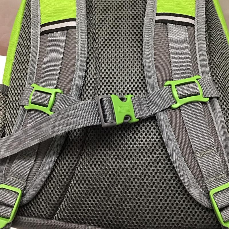 コールマン Coleman リュックサック、デイパック リュックサック、デイバッグ 2000034960 WALK HOLIC 15 タグ付き 15L ロゴ、文字 薄緑 / ライトグリーン / X 灰 / グレー / メンズ USED 古着 中古 10118890
