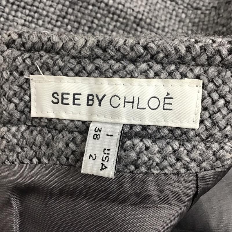 シーバイクロエ SEE BY CHLOE スカート ミニスカート ミニスカート タイトスカート ジップアップ 38 無地 灰 / グレー / レディース USED 古着 中古 10125164