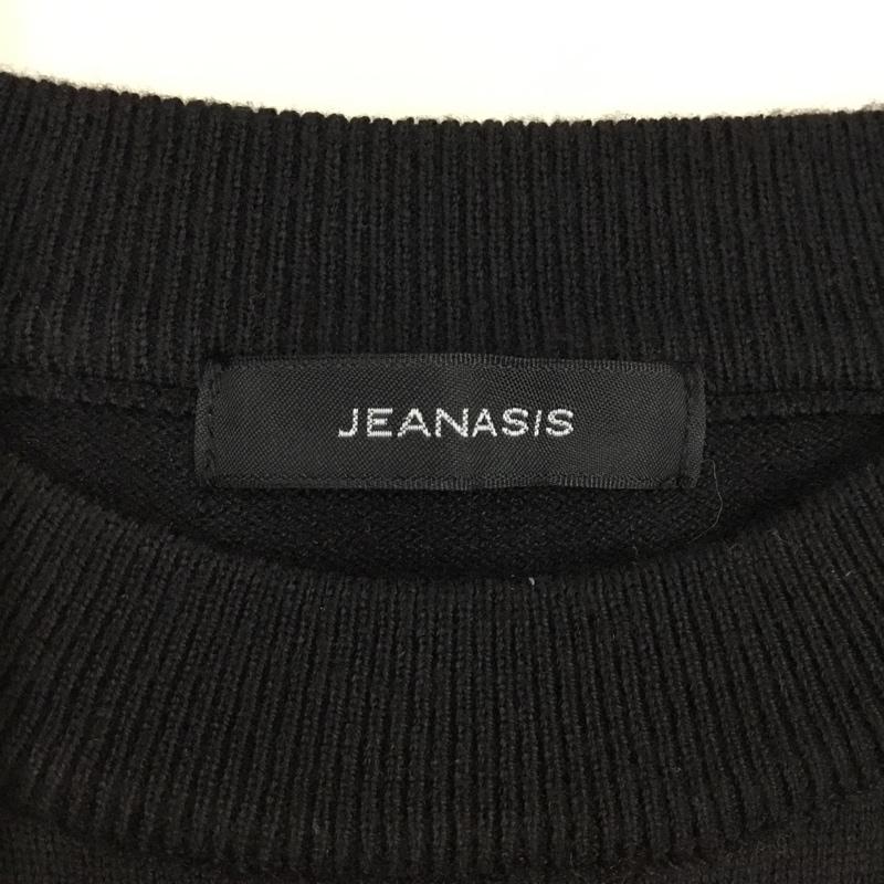 ジーナシス JEANASIS ニット、セーター 長袖 長袖ニットカットソー ニット セーター クルーネックニット FREE 刺繍 黒 / ブラック / レディース USED 古着 中古 10118052