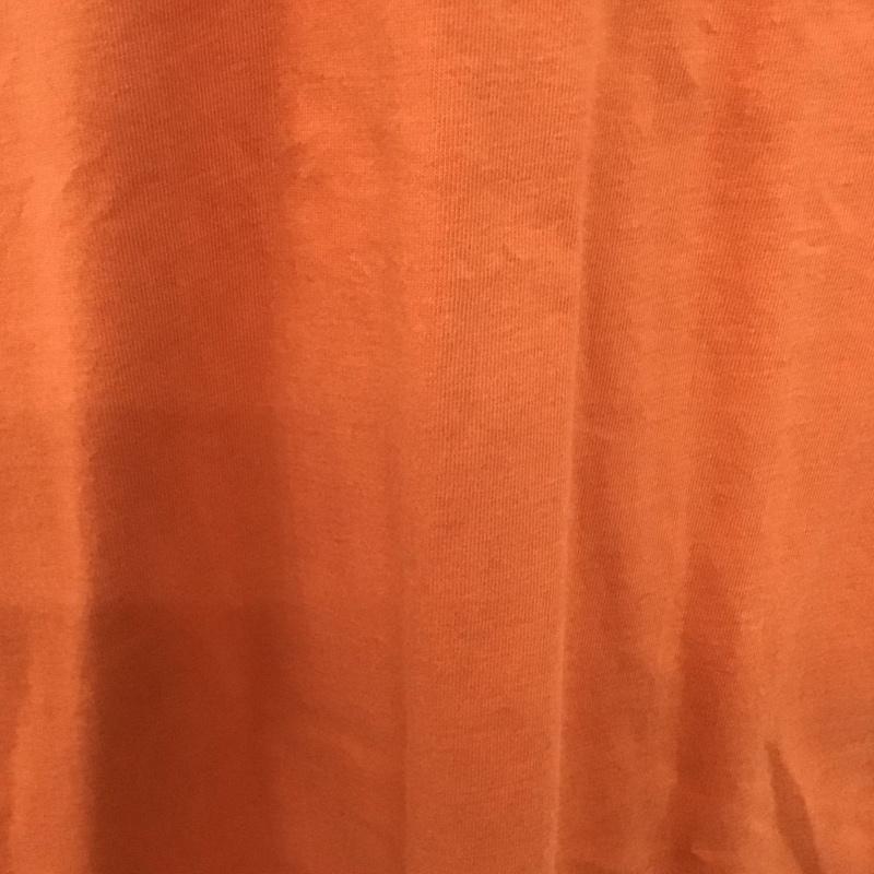 プーマ PUMA Tシャツ 半袖 半袖カットソー プリントTシャツ クルーネックカットソー スポーツウェア L ロゴ、文字 橙 / オレンジ / メンズ USED 古着 中古 10123542