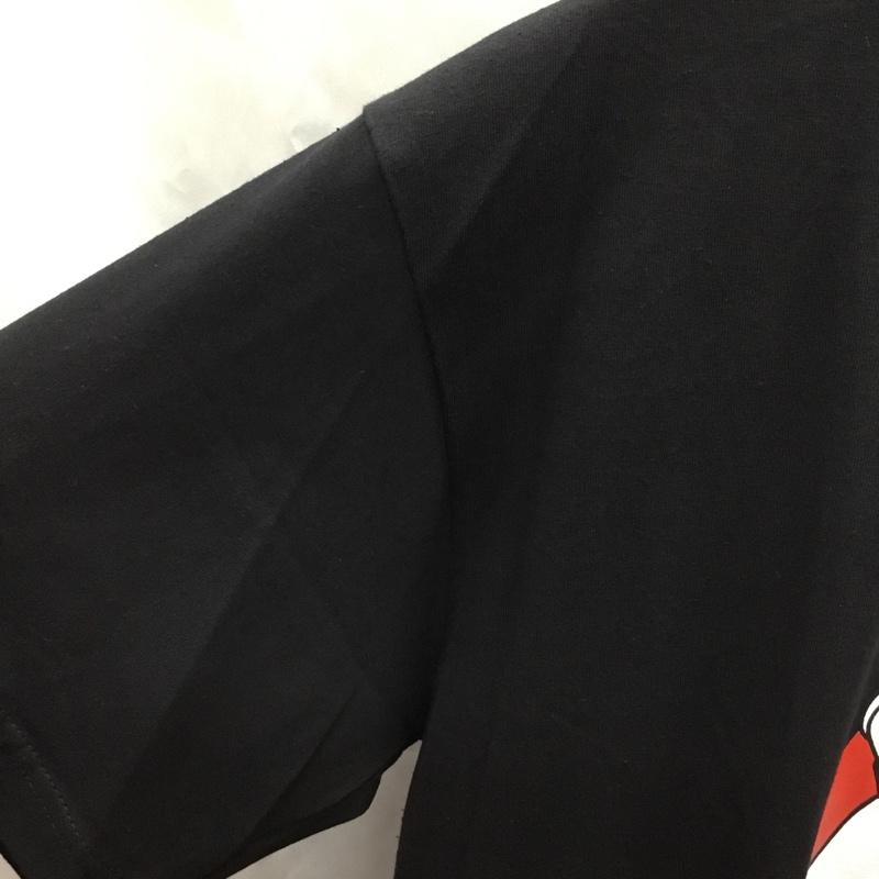 古着 USED Tシャツ 半袖 半袖カットソー プリントTシャツ クルーネックカットソー バンドTシャツ L プリント 黒 / ブラック / メンズ USED 古着 中古 10106948
