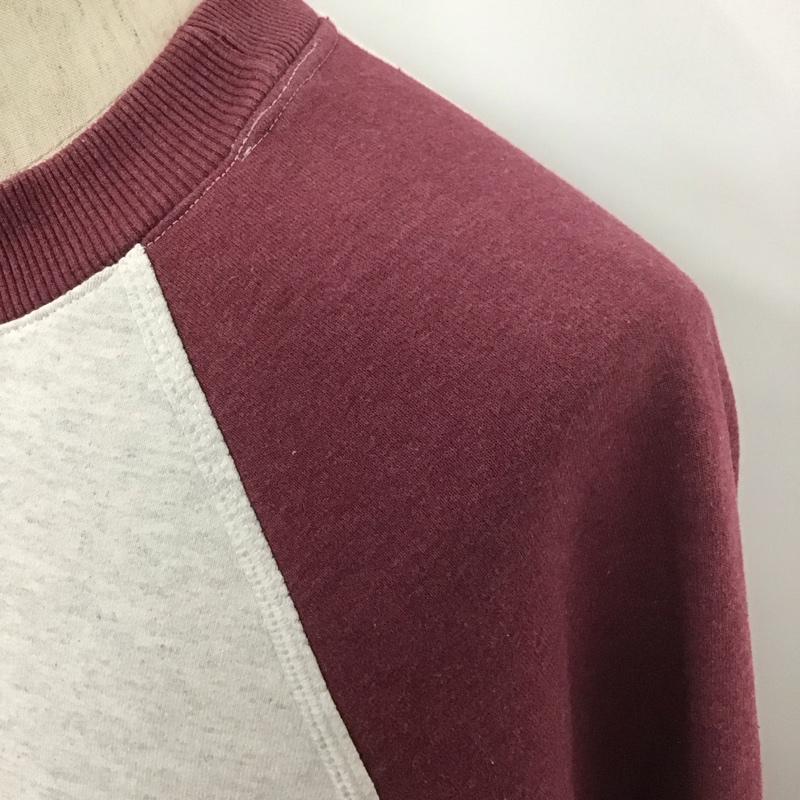 チャンピオン Champion トレーナー 長袖 L 無地 灰 / グレー / X 紫 / パープル / メンズ USED 古着 中古 10107835
