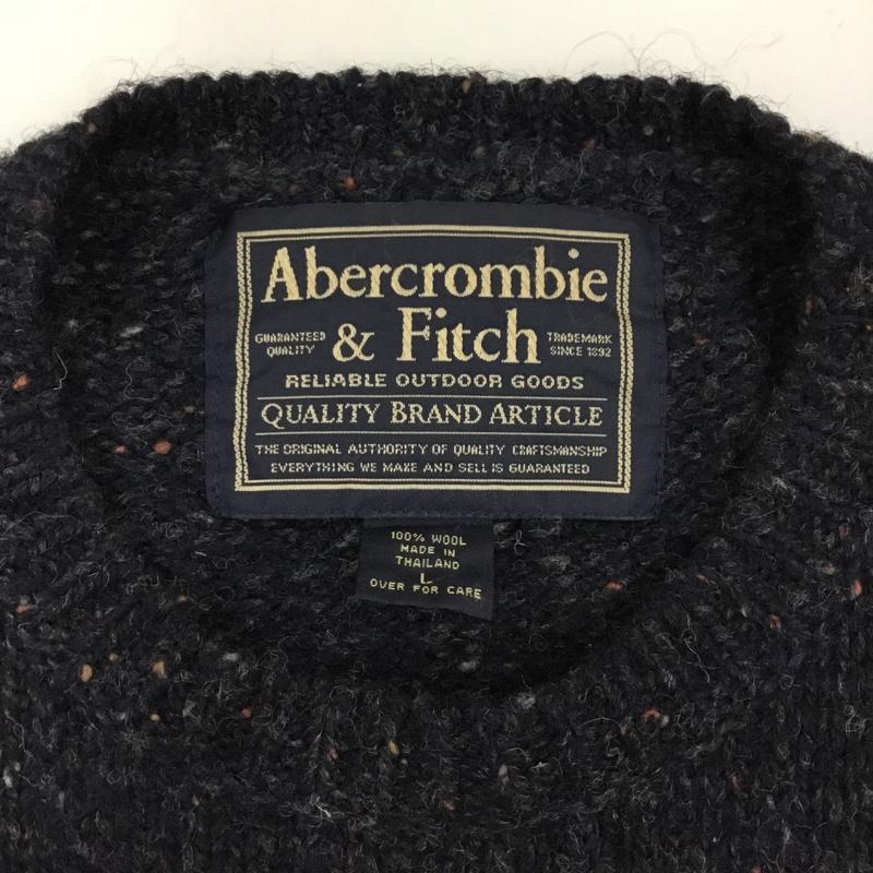 アバクロンビーアンドフィッチ ABERCROMBIE&FITCH ニット、セーター 長袖 長袖ニットカットソー ニット セーター クルーネックニット L ロゴ、文字 マルチカラー / マルチカラー / メンズ USED 古着 中古 10120450