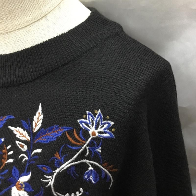 ジーナシス JEANASIS ニット、セーター 長袖 長袖ニットカットソー ニット セーター クルーネックニット FREE 刺繍 黒 / ブラック / レディース USED 古着 中古 10118052