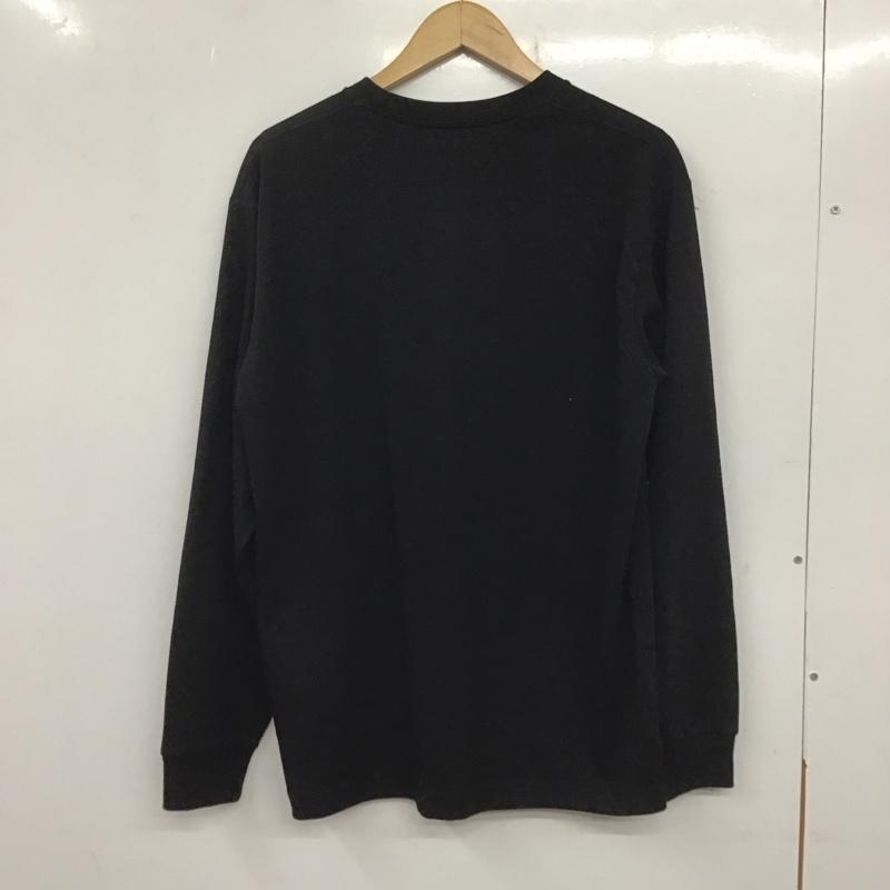 ザノースフェイス THE NORTH FACE Tシャツ 長袖 nt32441 ロングスリーブスモールボックスロゴティー 長袖カットソー プリントTシャツ L ロゴ、文字 黒 / ブラック / メンズ USED 古着 中古 10138535