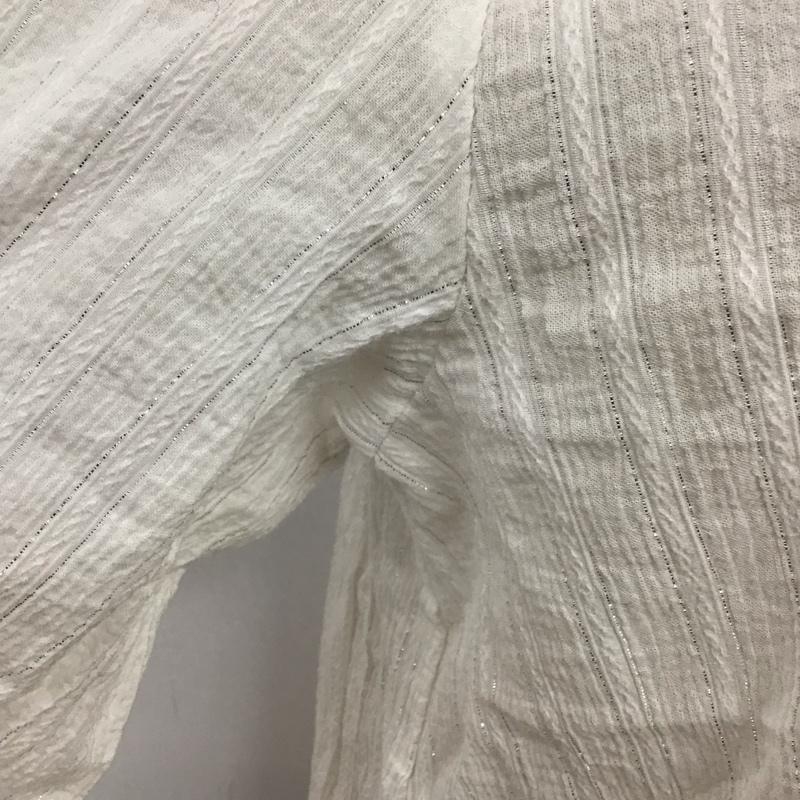 ザラ ZARA シャツ、ブラウス 長袖 8741 028 250 ラメ スタンドカラー L 無地 白 / ホワイト / レディース USED 古着 中古 10122022