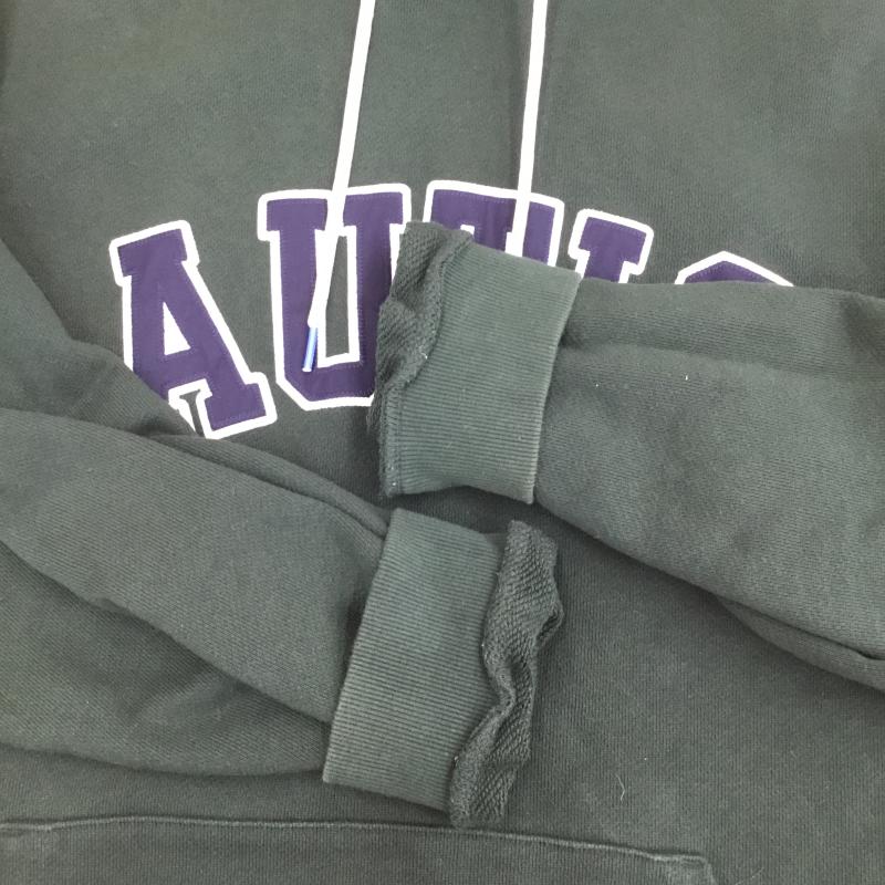 ノーティカ NAUTICA パーカー 長袖 213-1250 ARCH LOGO SWEAT HOODIE XL ロゴ、文字 緑 / グリーン / X 紺 / ネイビー / X 白 / ホワイト / メンズ USED 古着 中古 10136984