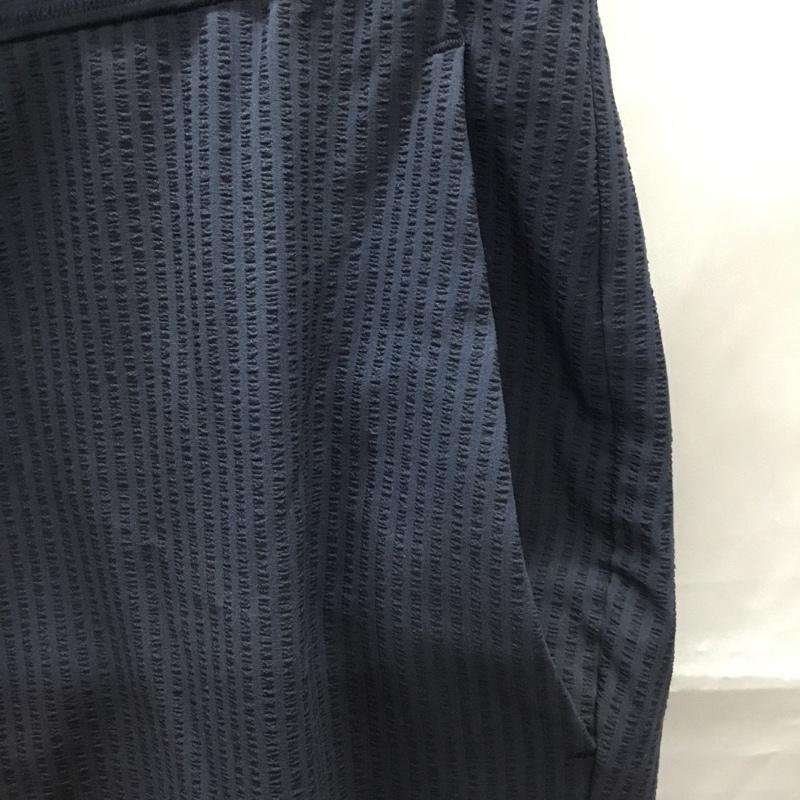 ビューティアンドユースユナイテッドアローズ BEAUTY&YOUTH UNITED ARROWS パンツ スラックス 1214-114-6332 ボトムス チェックパンツ スラックス センタータックパンツ L ストライプ 紺 / ネイビー / メンズ USED 古着 中古 10109419
