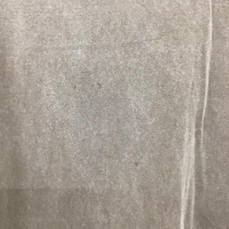 ステューシー STUSSY Tシャツ 半袖 半袖カットソー プリントTシャツ クルーネックカットソー L ロゴ、文字 茶 / ブラウン / メンズ USED 古着 中古 10138748