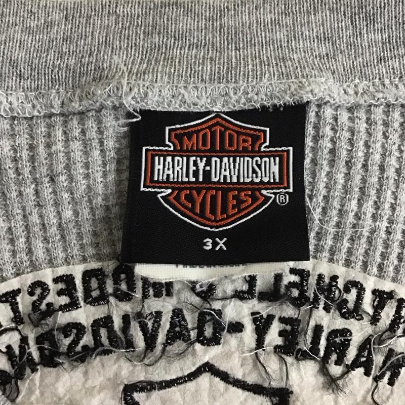 ハーレーダビッドソン Harley-Davidson カットソー 長袖 長袖カットソー ヘンリーネックカットソー 長袖Tシャツ ロングスリーブカットソー 古着 ロゴ、文字 灰 / グレー / メンズ USED 古着 中古 10107732