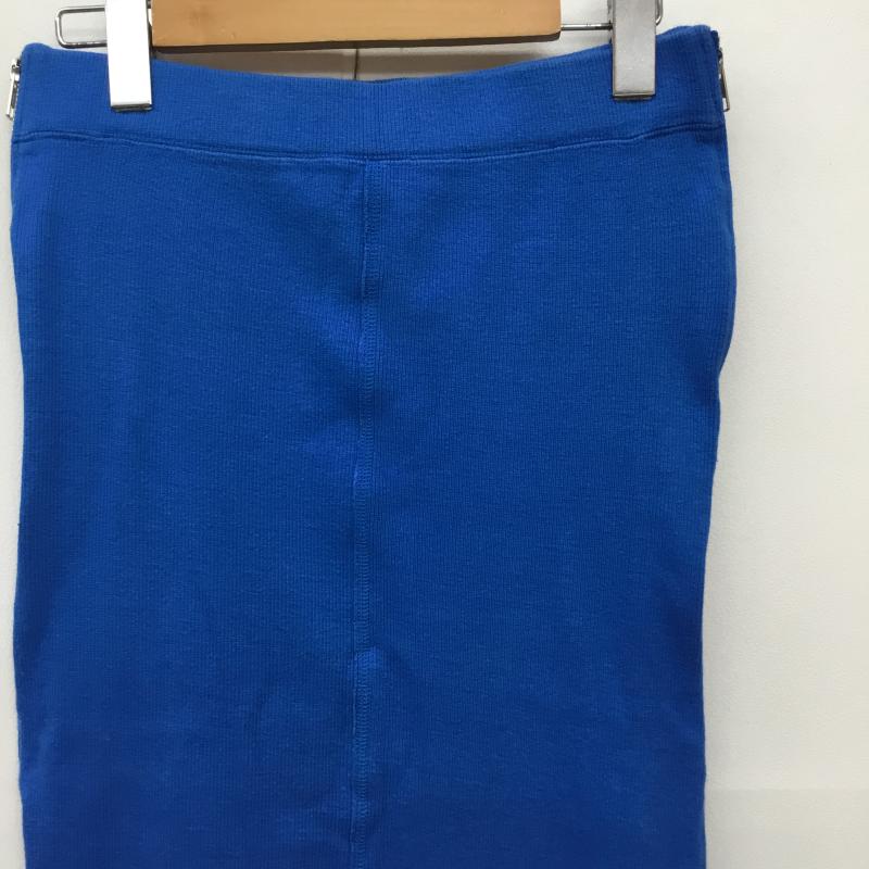 ステューシーウィメン Stussy Women スカート ひざ丈スカート M ロゴ、文字 青 / ブルー / レディース USED 古着 中古 10138286