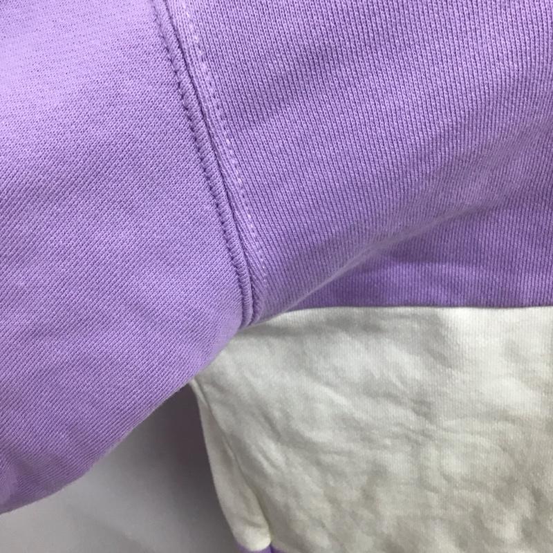 ディッキーズ Dickies パーカー 長袖 長袖パーカー プルオーバーパーカー スウェット L ボーダー柄 マルチカラー / マルチカラー /  メンズ USED 古着 中古 10125503