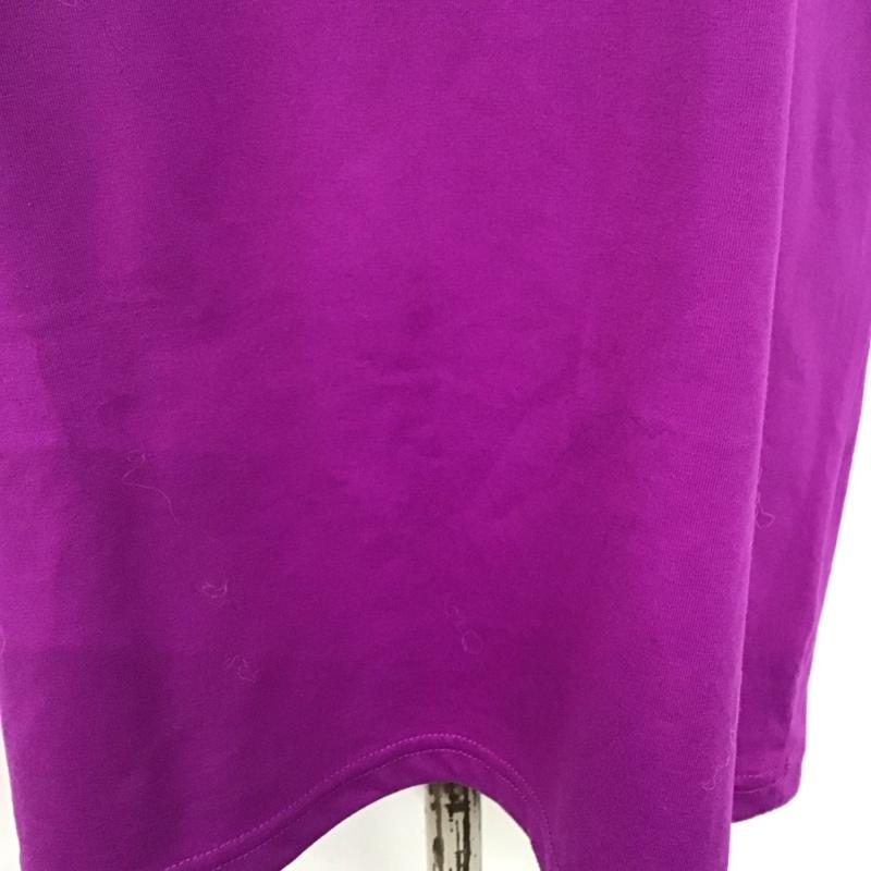 ザノースフェイス THE NORTH FACE カットソー 半袖 ntw31313 COLORFULLOGO 半袖カットソー プリントTシャツ XL ロゴ、文字 紫 / パープル / レディース USED 古着 中古 10125189
