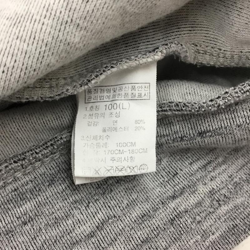 ザノースフェイス THE NORTH FACE トレーナー 長袖 NM5MI56K カットソー L ロゴ、文字 灰 / グレー / メンズ USED 古着 中古 10111405