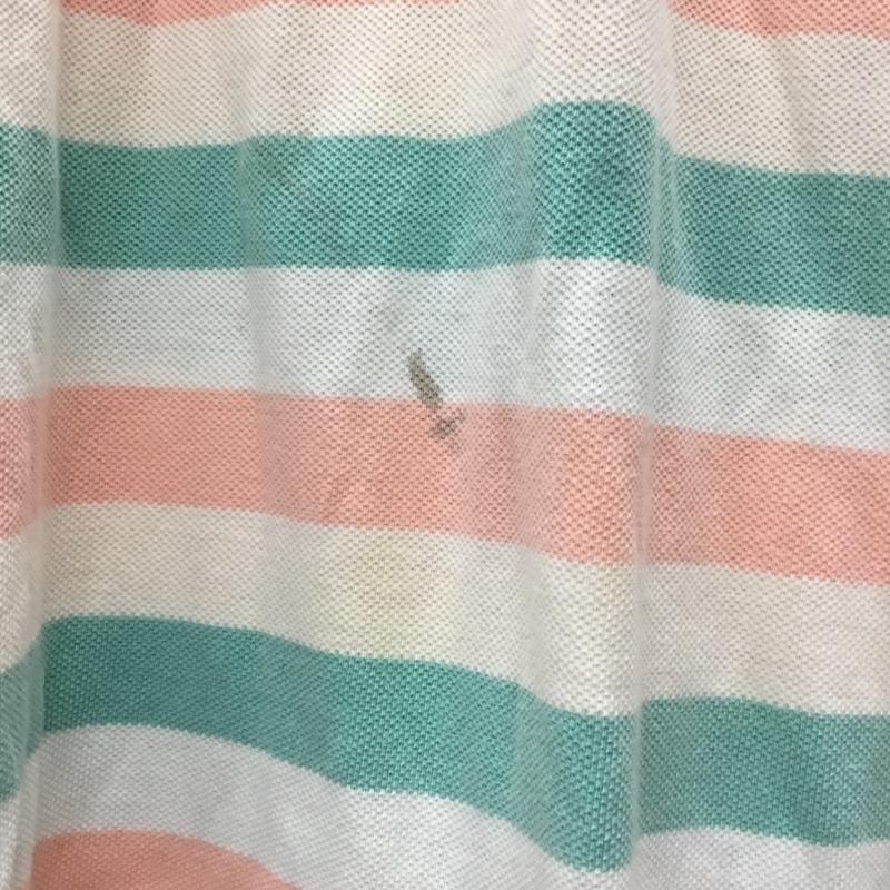 ポロバイラルフローレン Polo by RALPH LAUREN ポロシャツ 半袖 半袖ポロシャツ カラーシャツ 半袖カットソー L ボーダー柄 マルチカラー / マルチカラー /  メンズ USED 古着 中古 10113332
