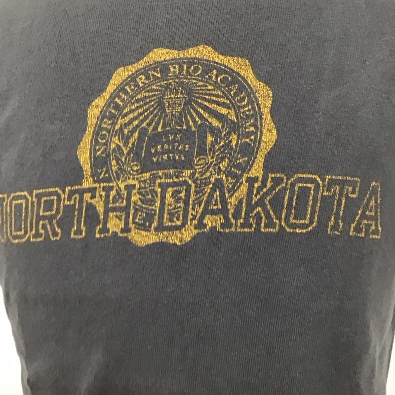 チャンピオン Champion Tシャツ 半袖 半袖カットソー プリントTシャツ クルーネックカットソー スウェットカットソー M プリント 灰 / グレー /  メンズ USED 古着 中古 10111117