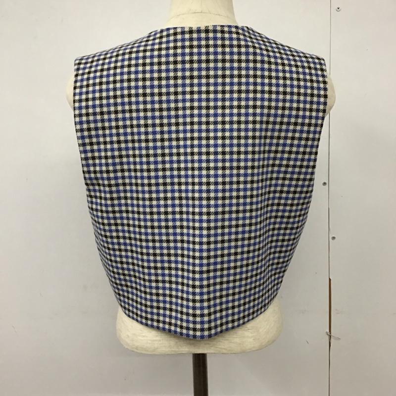 ザラ ZARA ベスト ベスト ベスト プルオーバーベスト Vネック S チェック マルチカラー / マルチカラー / レディース USED 古着 中古 10125211