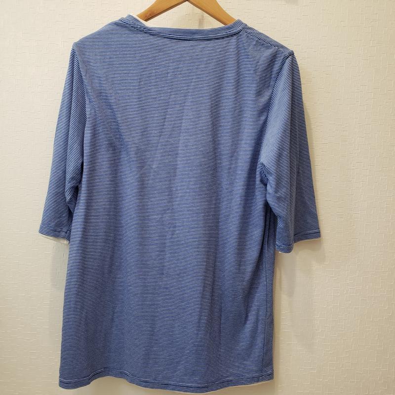 ナノユニバース nano・universe カットソー 半袖 L ボーダー柄 青 / ブルー / X 白 / ホワイト / レディース USED 古着 中古 10001856