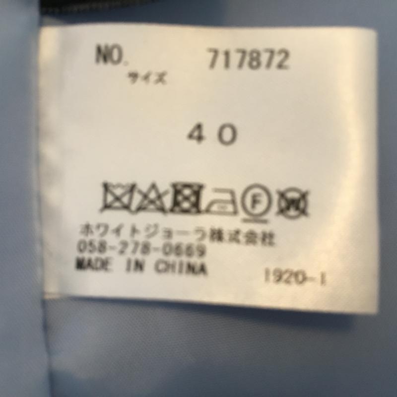 エンネア Ennea スカート ひざ丈スカート 40インチ 無地 青 / ブルー / レディース USED 古着 中古 10004437
