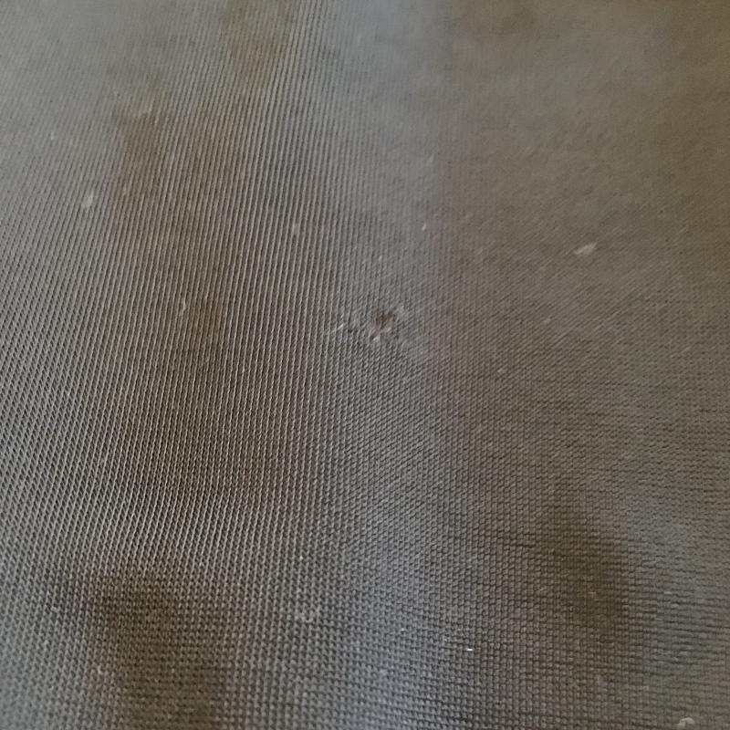 モルガン MORGAN カットソー 半袖 袖に素材切り替え XS 無地 X 刺繍 黒 / ブラック / レディース USED 古着 中古 10005483