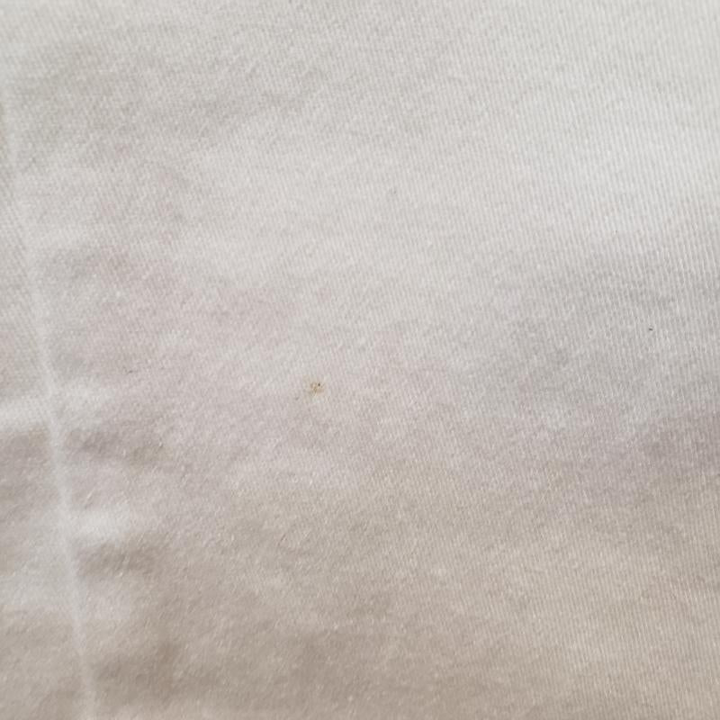 プロポーションボディドレッシング PROPORTION BODY DRESSING パンツ デニム、ジーンズ 26 無地 白 / ホワイト / レディース USED 古着 中古 10013136