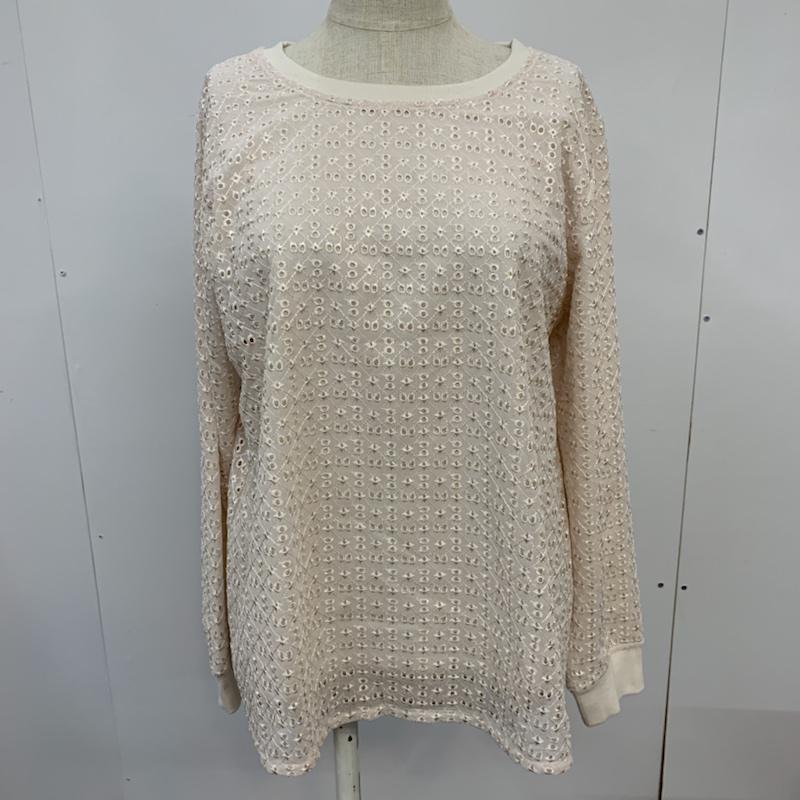 アースミュージックアンドエコロジー earth music&ecology カットソー 長袖 プルオーバー エンブロイダリーレース FREE 刺繍 アイボリー / アイボリー /  レディース USED 古着 中古 10042438