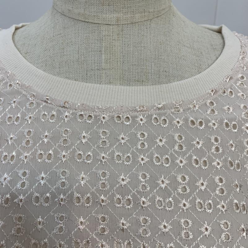 アースミュージックアンドエコロジー earth music&ecology カットソー 長袖 プルオーバー エンブロイダリーレース FREE 刺繍 アイボリー / アイボリー /  レディース USED 古着 中古 10042438