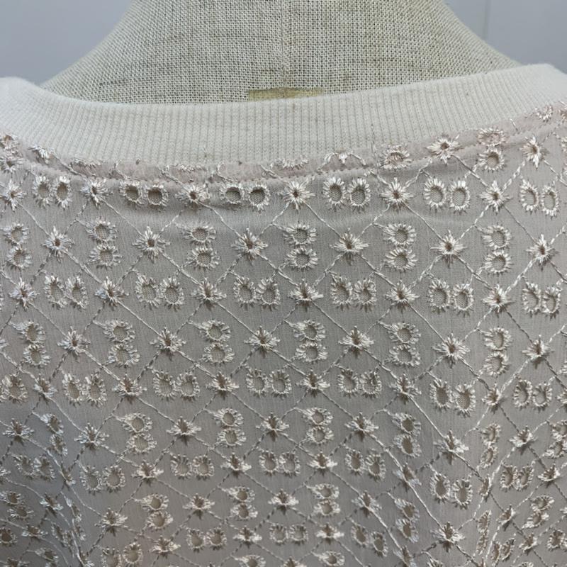 アースミュージックアンドエコロジー earth music&ecology カットソー 長袖 プルオーバー エンブロイダリーレース FREE 刺繍 アイボリー / アイボリー /  レディース USED 古着 中古 10042438