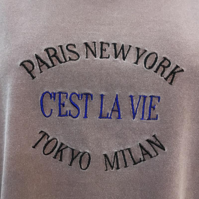 エイミーイストワール eimy istoire Tシャツ 半袖 FREE 無地 X ロゴ、文字 桃 / ピンク / レディース USED 古着 中古 10053943