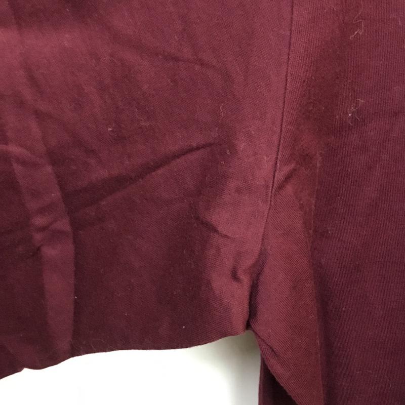 ポロゴルフラルフローレン POLOGOLF ポロシャツ 半袖 PIMA COTTON XL ワンポイント ボルドー / ボルドー / メンズ USED 古着 中古 10058417