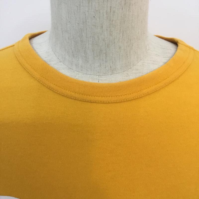 チャンピオン Campion Tシャツ 半袖 L ロゴ、文字 X 無地 橙 / オレンジ / メンズ USED 古着 中古 10058657