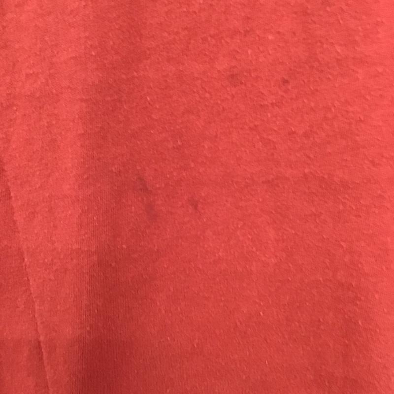 ポロラルフローレン POLO RALPH LAUREN Tシャツ 半袖 長袖カットソー Vネックカットソー M 無地 X ワンポイント 赤 / レッド / メンズ USED 古着 中古 10094267