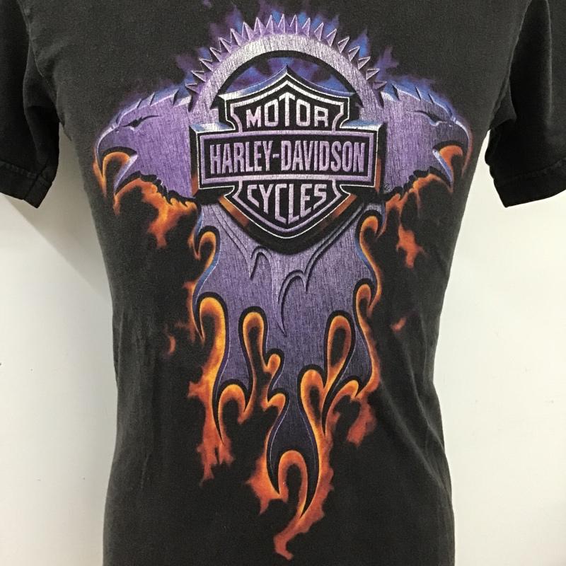 ハーレーダビッドソン Harley-Davidson Tシャツ 半袖 プリントTシャツ 半袖カットソー ヴィンテージTシャツ 古着 S プリント マルチカラー / マルチカラー / メンズ USED 古着 中古 10096513