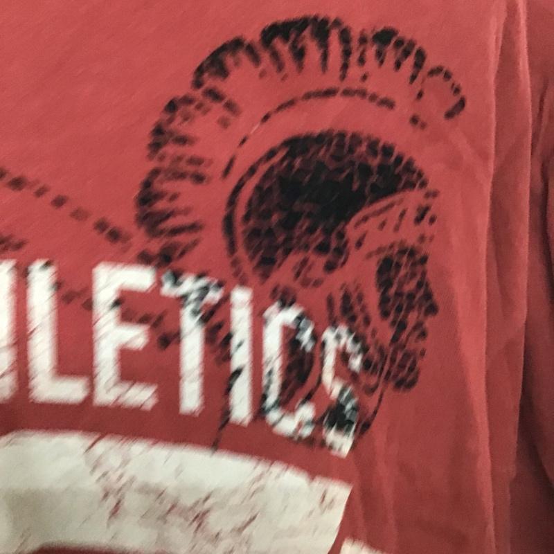 ナイキ NIKE Tシャツ 半袖 半袖カットソー プリントTシャツ クルーネックカットソー 古着 XL プリント えんじ / ワインレッド / メンズ USED 古着 中古 10099937