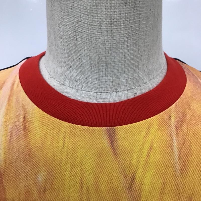 アディダス adidas Tシャツ 半袖 F95453 ルースター L ロゴ、文字 紺 / ネイビー / X 赤 / レッド / レディース USED 古着 中古 10100387