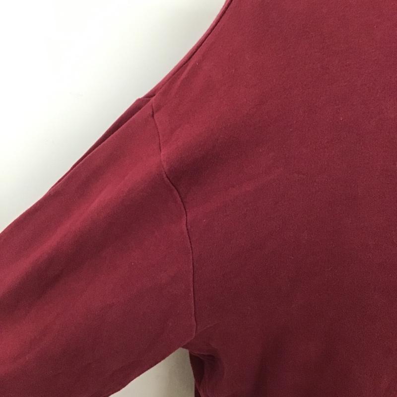 ポロゴルフラルフローレン POLOGOLF カットソー 長袖 長袖カットソー ジップアップネックカットソー ロングスリーブカットソー 刺繍Tシャツ L ロゴ、文字 えんじ / ワインレッド / メンズ USED 古着 中古 10101802