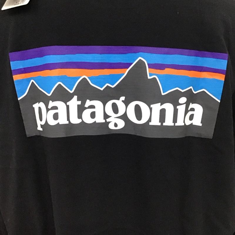 パタゴニア patagonia カットソー 長袖 長袖カットソー クルーネックカットソー ロングスリーブカットソー プリントTシャツ L ロゴ、文字 黒 / ブラック /  メンズ USED 古着 中古 10110886